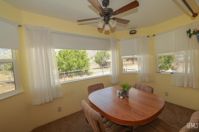 dining space featuring ceiling fan and carpet flooring
