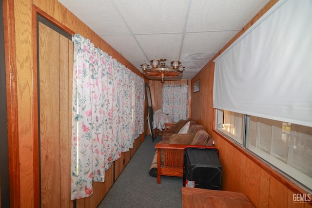 interior space featuring carpet floors and a drop ceiling
