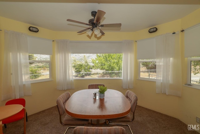 dining area featuring ceiling fan, a healthy amount of sunlight, and carpet