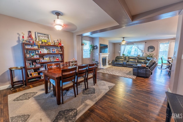 dining space featuring a ceiling fan, baseboards, dark wood-style flooring, and a glass covered fireplace