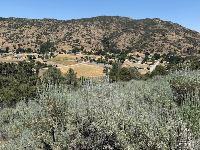 26451 Oakflat Dr, Tehachapi, CA 93561 - photo 14