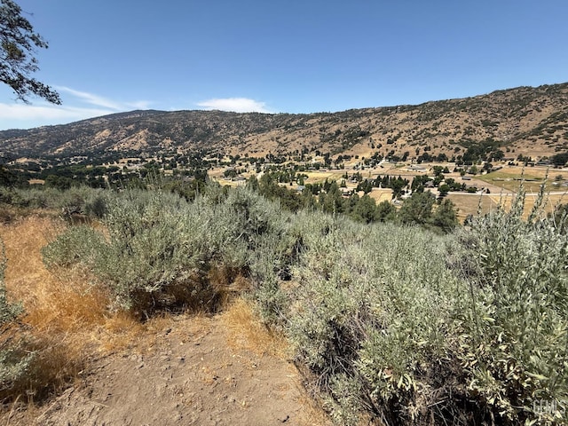26451 Oakflat Dr, Tehachapi, CA 93561 - photo 13