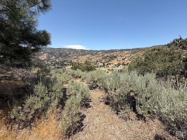 26451 Oakflat Dr, Tehachapi, CA 93561 - photo 15
