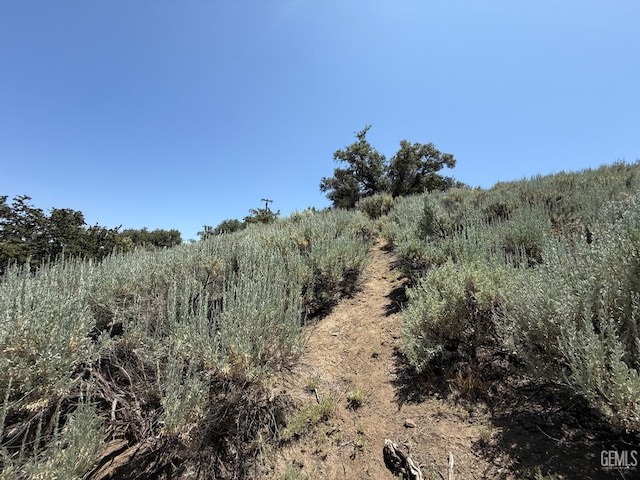 26451 Oakflat Dr, Tehachapi, CA 93561 - photo 12