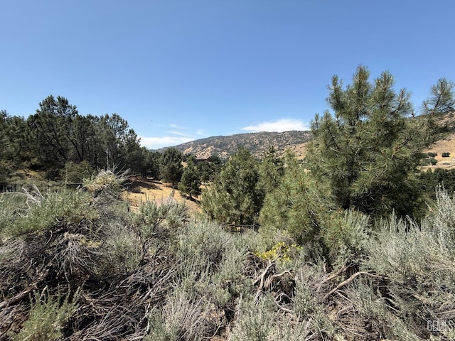 26451 Oakflat Dr, Tehachapi, CA 93561 - photo 5