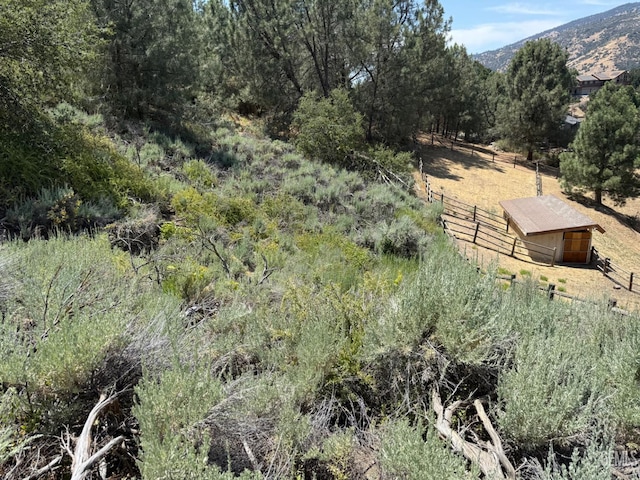 26451 Oakflat Dr, Tehachapi, CA 93561 - photo 6
