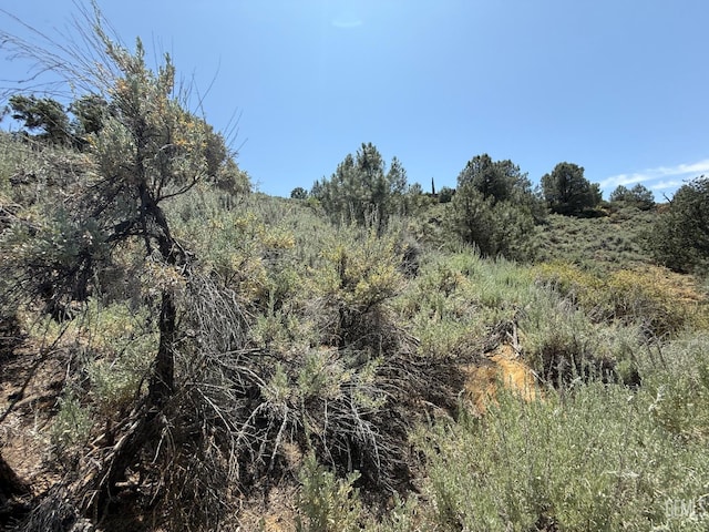 26451 Oakflat Dr, Tehachapi, CA 93561 - photo 8