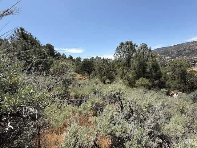 26451 Oakflat Dr, Tehachapi, CA 93561 - photo 10