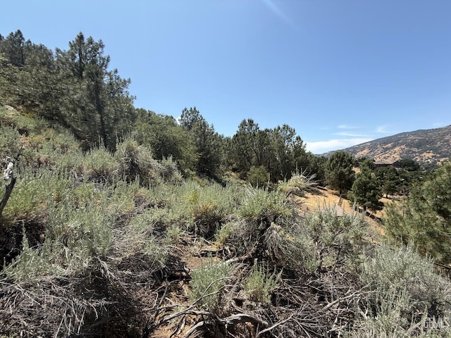 26451 Oakflat Dr, Tehachapi, CA 93561 - photo 4