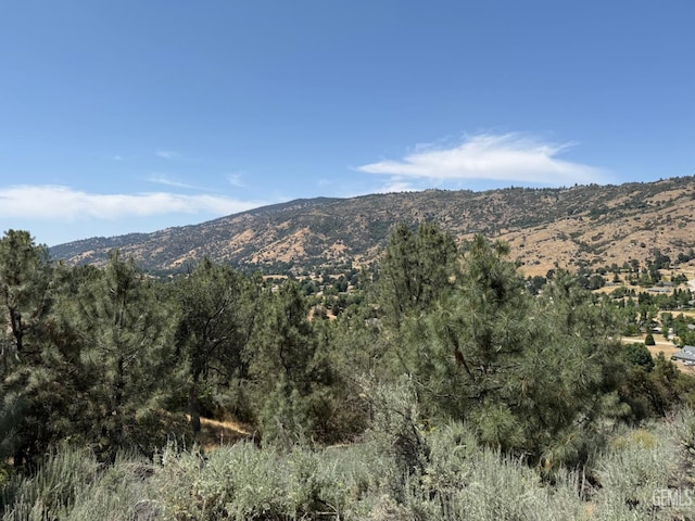 26451 Oakflat Dr, Tehachapi, CA 93561 - photo 2