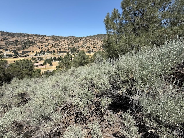 26451 Oakflat Dr, Tehachapi, CA 93561 - photo 9