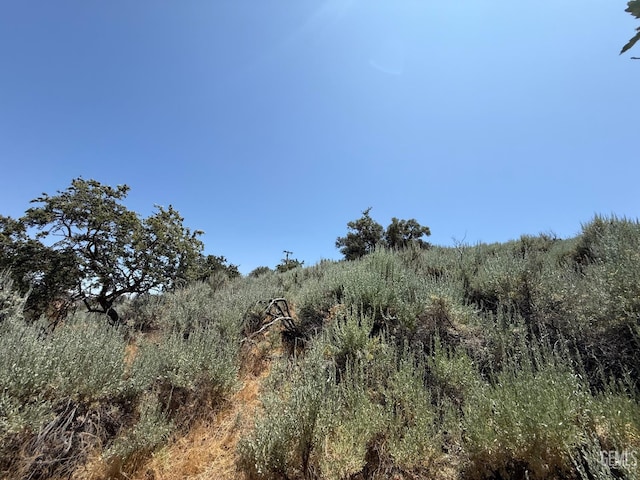 26451 Oakflat Dr, Tehachapi, CA 93561 - photo 11