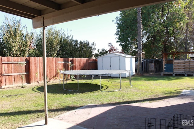 view of yard with a storage unit, a patio area, and a trampoline