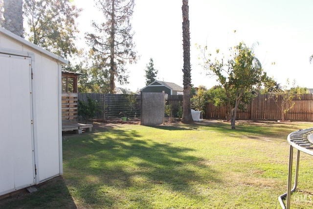 view of yard with a trampoline and a storage shed