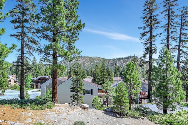261 Lakeview Blvd, Mammoth Lakes, CA 93546 - photo 21