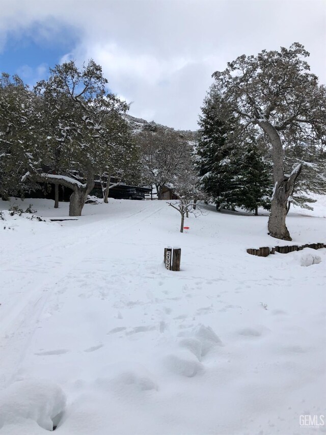 25921 Columbia Way, Tehachapi, CA 93561 - photo 62