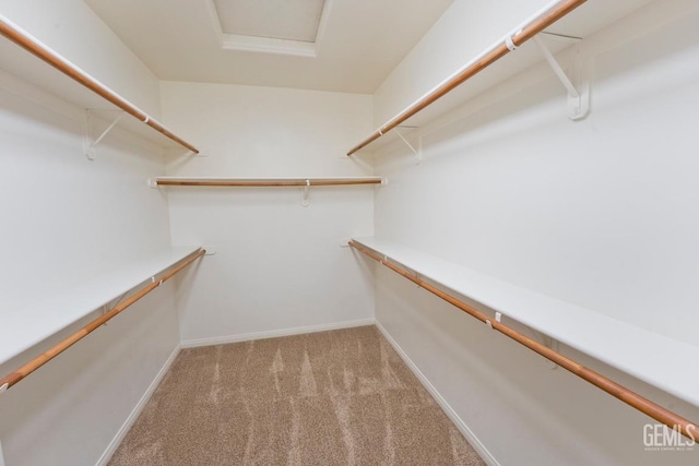 walk in closet featuring light colored carpet