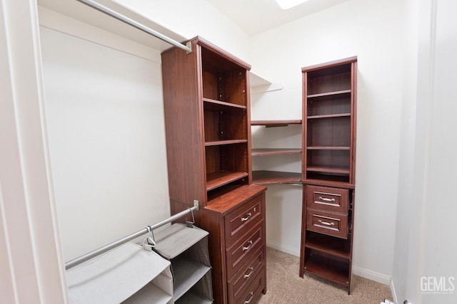 spacious closet with light carpet