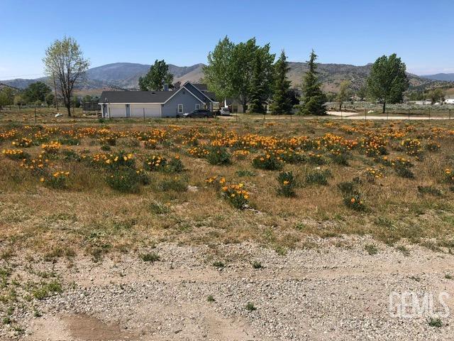 view of yard featuring a rural view, fence, and a mountain view