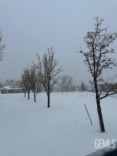 view of yard covered in snow