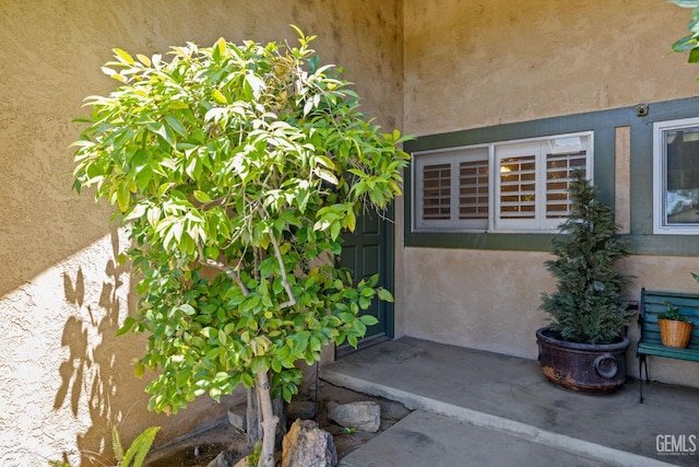 3504 Elm St, Bakersfield, CA 93301 - doorway to property featuring stucco siding