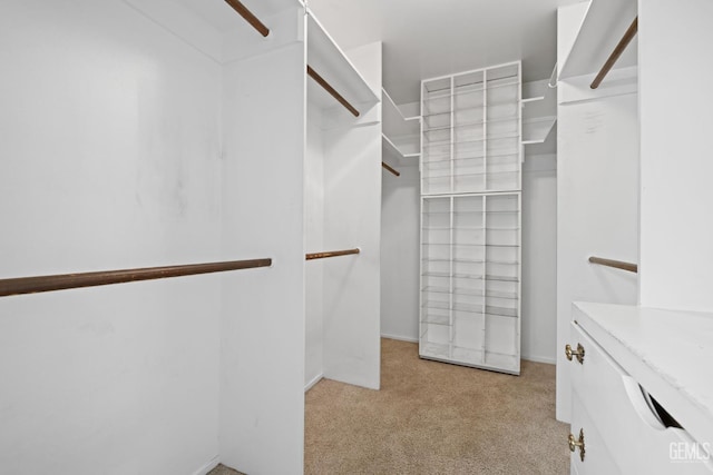 3504 Elm St, Bakersfield, CA 93301 - walk in closet featuring carpet flooring