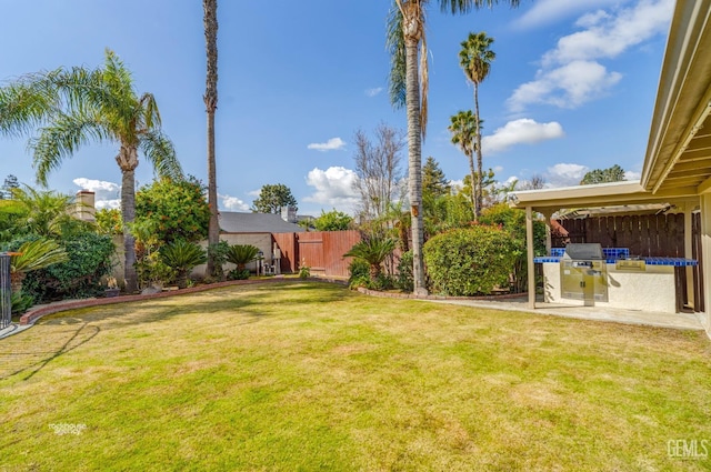 view of yard with an outdoor kitchen and a fenced backyard