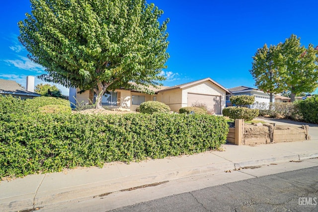 view of property hidden behind natural elements featuring a garage