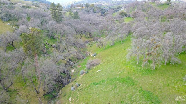 43717 Deer Creek Mill Rd, Cal Hot Springs, CA 93207 - photo 10