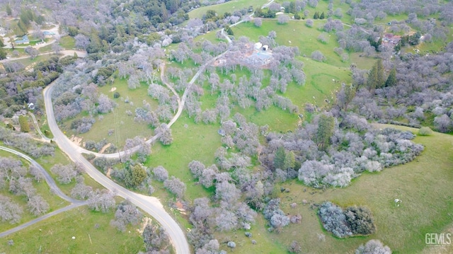 43717 Deer Creek Mill Rd, Cal Hot Springs, CA 93207 - photo 11