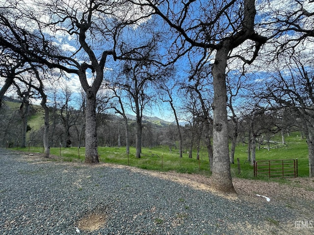 43717 Deer Creek Mill Rd, Cal Hot Springs, CA 93207 - photo 13