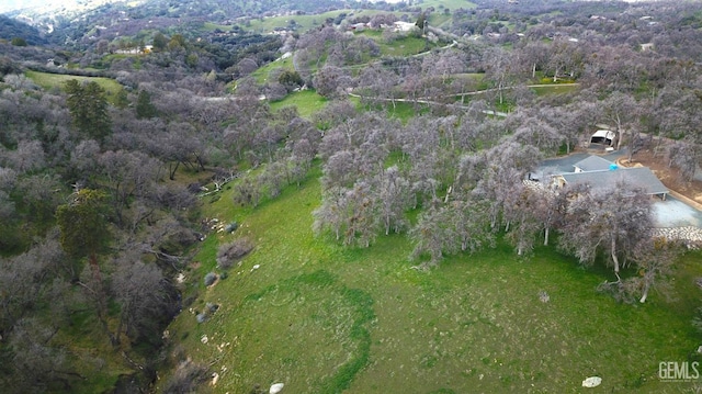 43717 Deer Creek Mill Rd, Cal Hot Springs, CA 93207 - photo 9