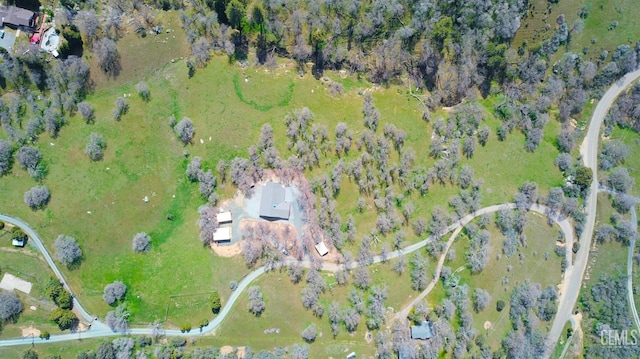 43717 Deer Creek Mill Rd, Cal Hot Springs, CA 93207 - photo 8