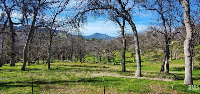 43717 Deer Creek Mill Rd, Cal Hot Springs, CA 93207 - photo 49