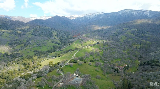 43717 Deer Creek Mill Rd, Cal Hot Springs, CA 93207 - photo 12