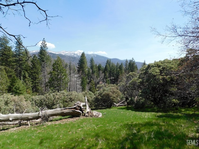 0 Manzanita Ct, Posey CA, 93260 land for sale