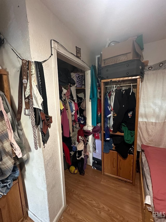 spacious closet with light wood-type flooring