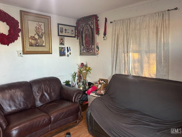 living room with wood-type flooring