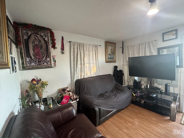 living room with light hardwood / wood-style floors