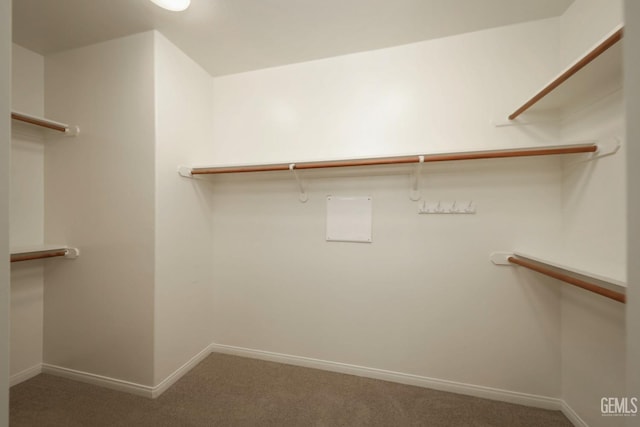 spacious closet with carpet