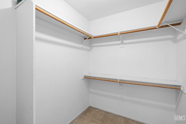 spacious closet featuring carpet flooring