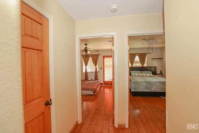 hallway featuring hardwood / wood-style floors