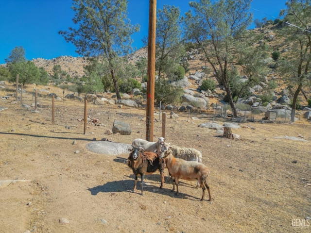 view of yard with a mountain view and a rural view