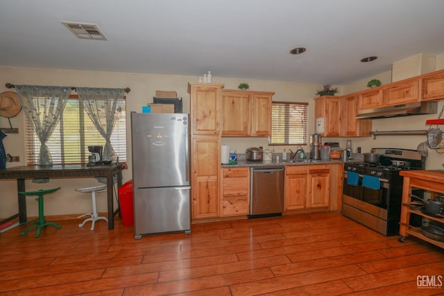 kitchen featuring appliances with stainless steel finishes, light hardwood / wood-style floors, and sink