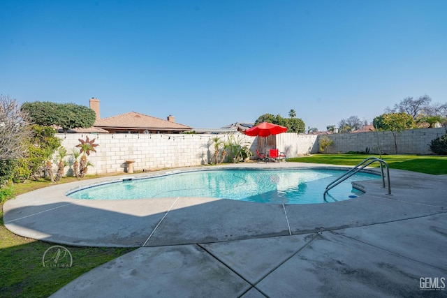 view of swimming pool with a patio