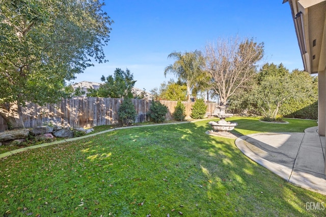 view of yard featuring a patio area