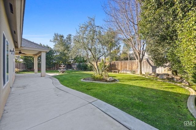 view of yard featuring a patio area