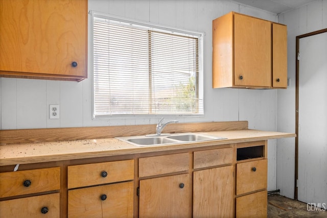 kitchen featuring light countertops and a sink