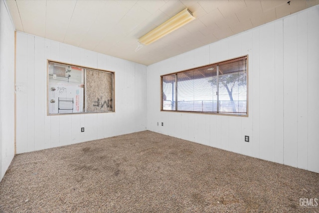 unfurnished room with wood walls and carpet flooring