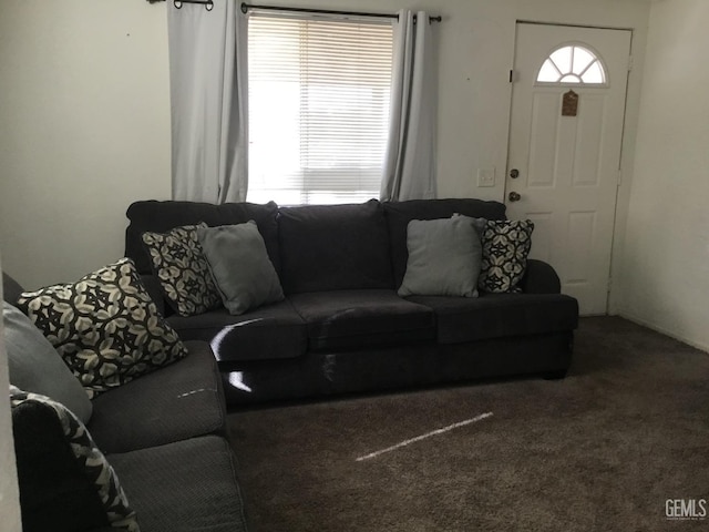 living room with carpet flooring